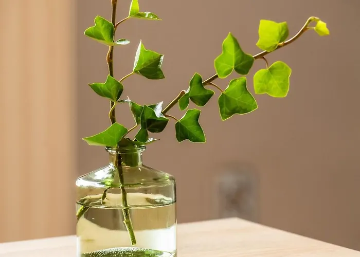 Apartmán Nad Kłodnicą Hlivice