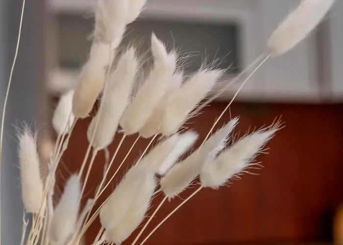 Apartmán Nad Kłodnicą