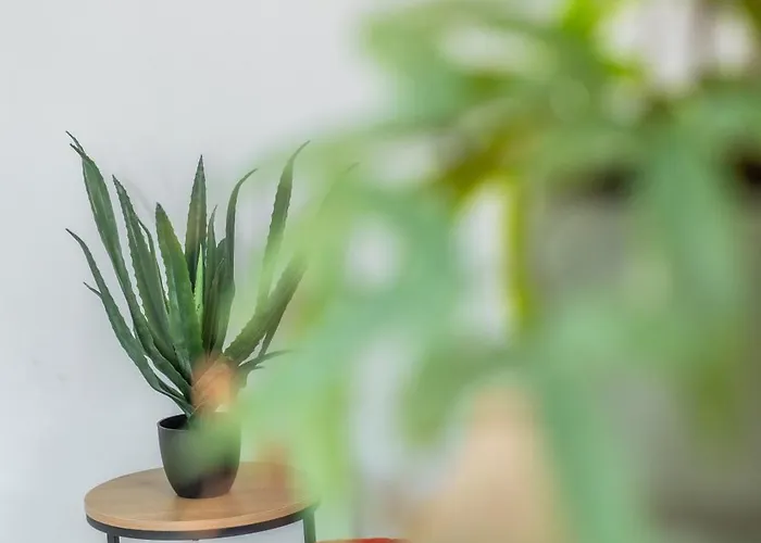 Nad Kłodnicą Hlivice